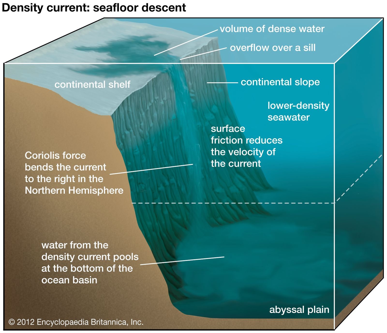 How Dense is Water?