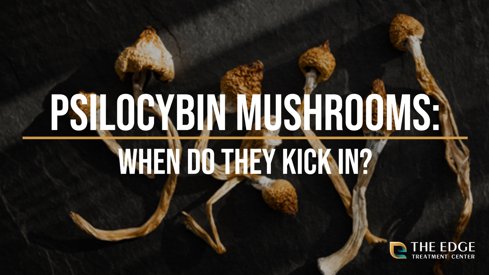 How Long Does It Take for Shrooms to Kick In?