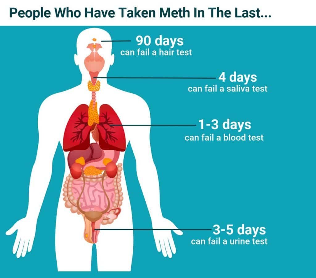 How Long Does Meth Stay in Your System?