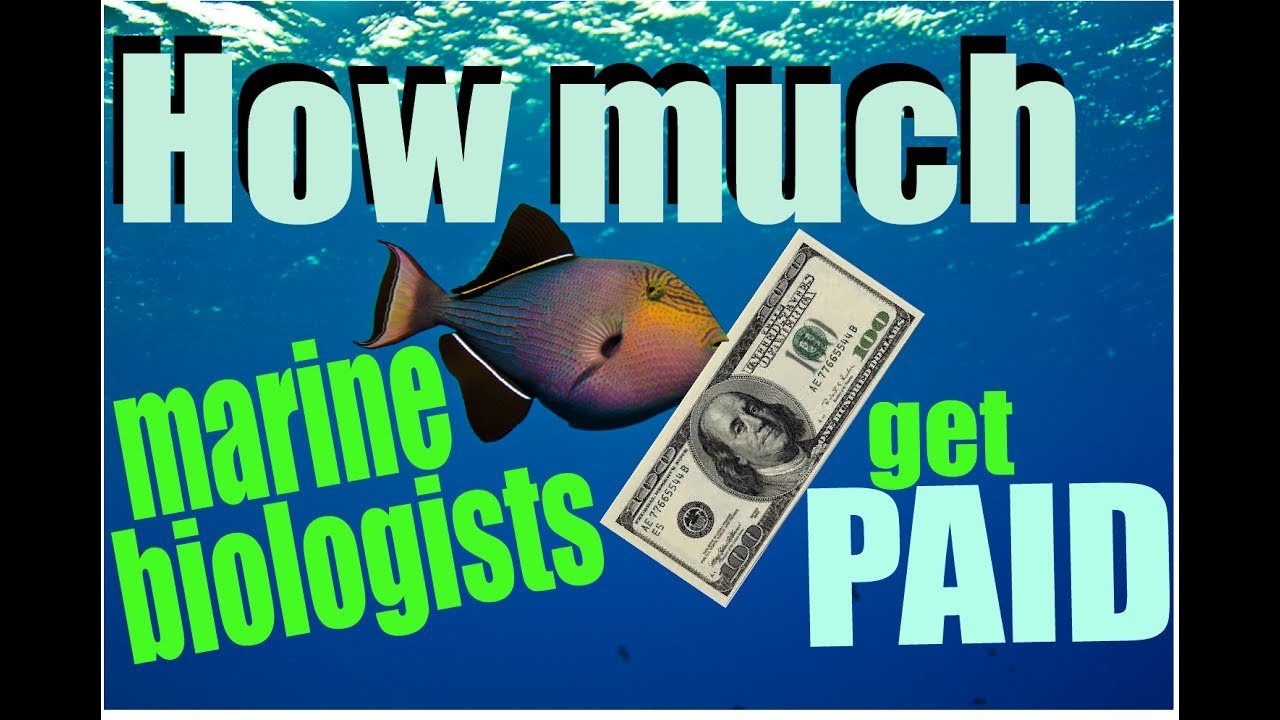 How Much Do Marine Biologists Make?