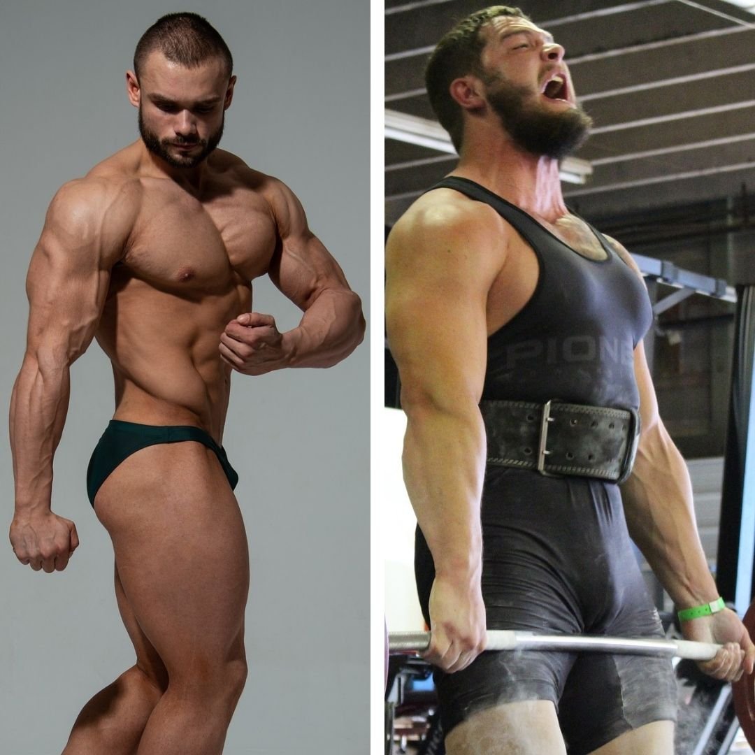 How to Build Dense Muscle?